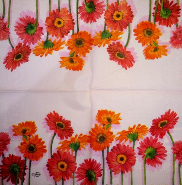 343 Daisies - 3-ply - Ambiente - CS